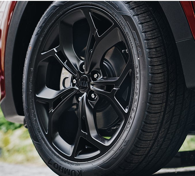 Kia wheel caps Center Hub caps black for Sorento Sedona, Rio, Soul 52960-3W200 4PCS